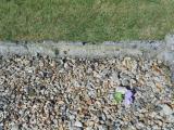 image of grave number 582793